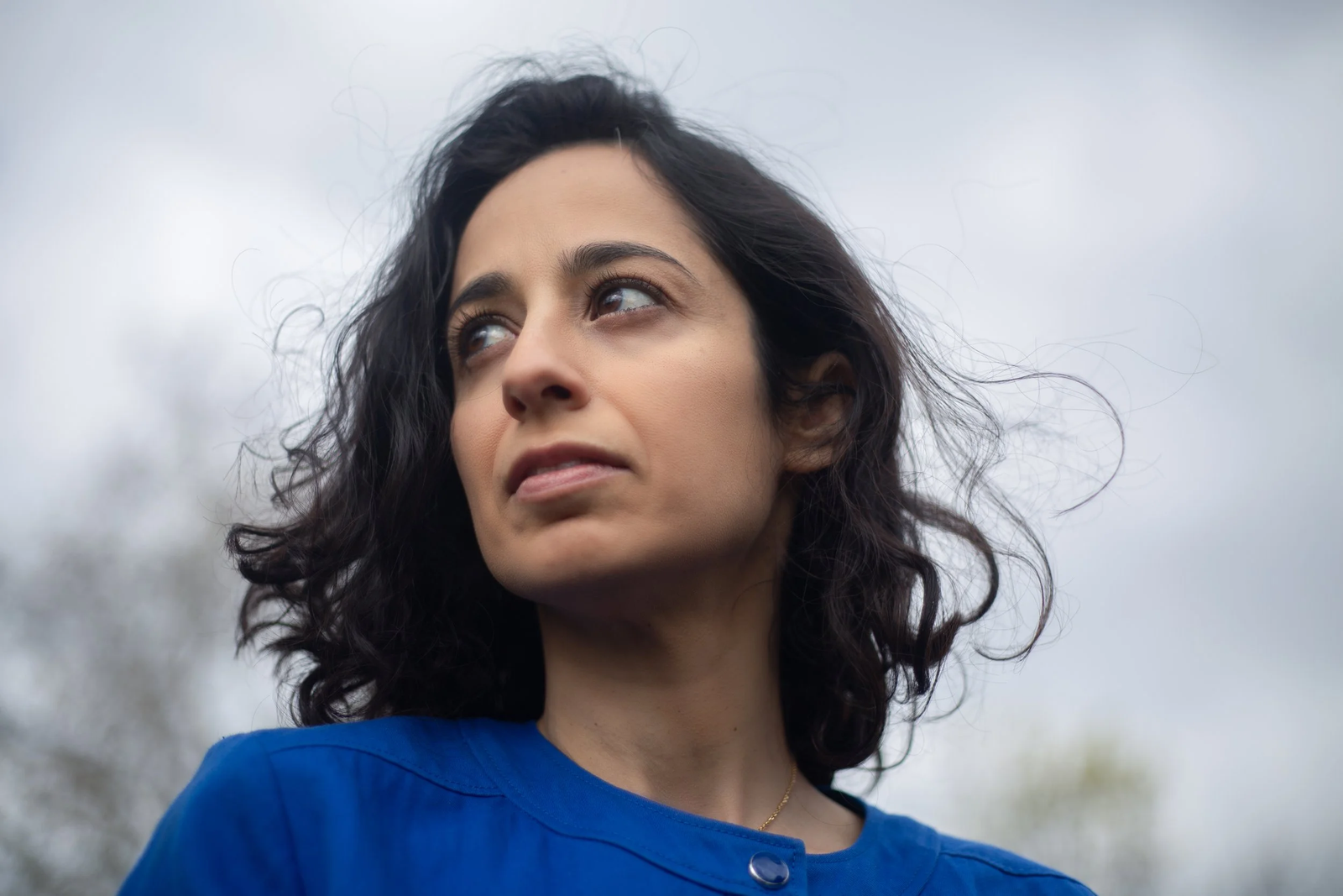 Sanam Mahloudji autora 'Els perses'